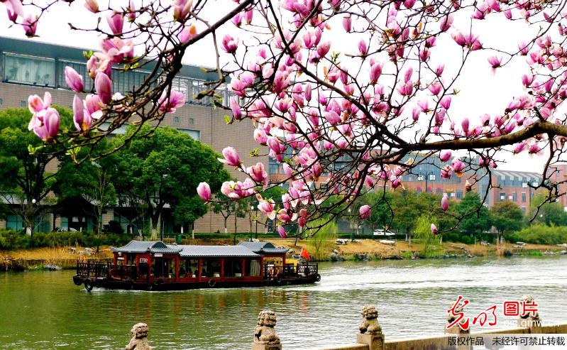 Spring view in Suzhou, E China