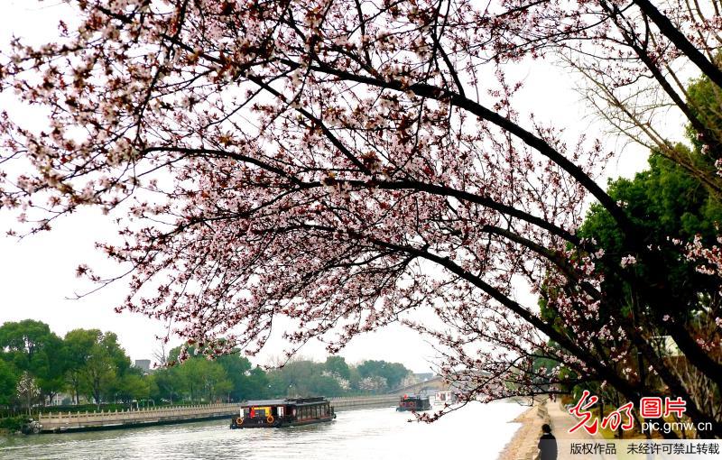 Spring view in Suzhou, E China