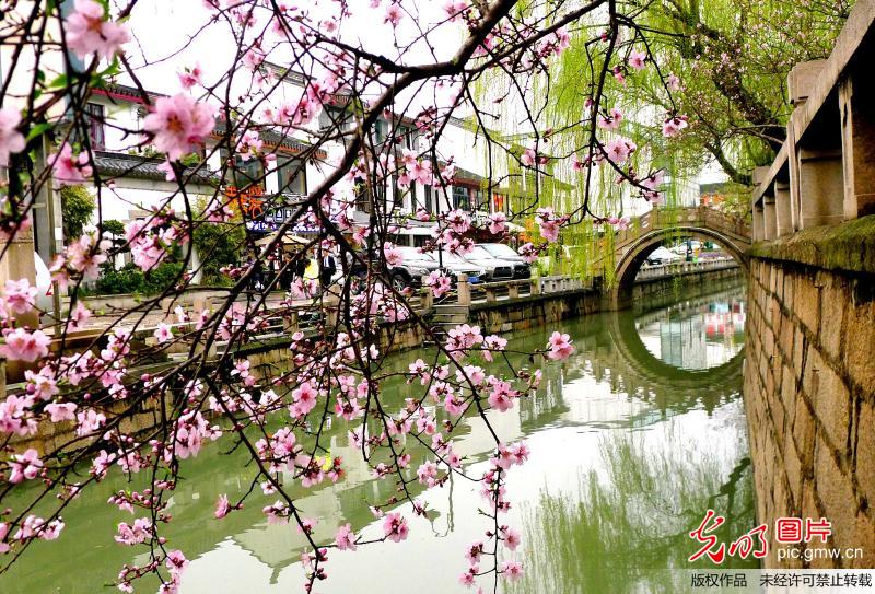 Spring view in Suzhou, E China