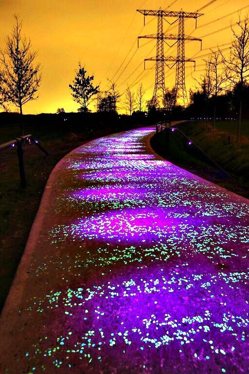 Beautiful luminous bicycle path in Poland.