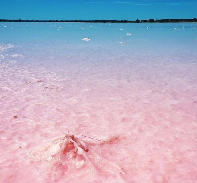 Lake Bumbunga in South Australia.