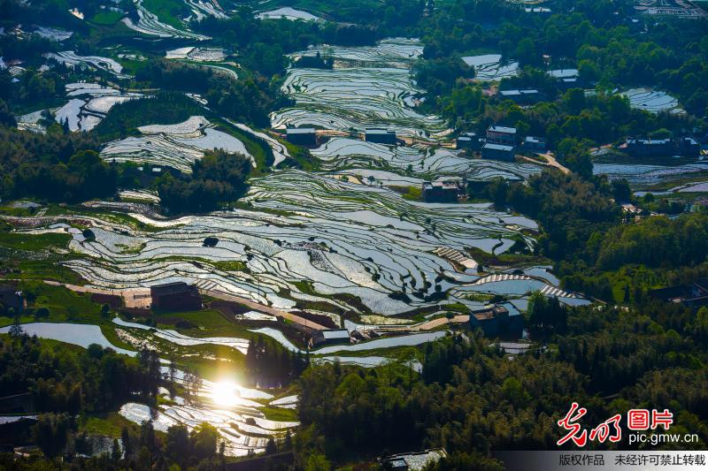 Aerial view of terraced fields in SW China’s Sichuan