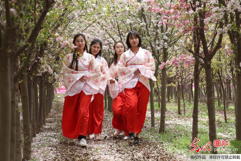 Tourists view crabapple flowers in E China