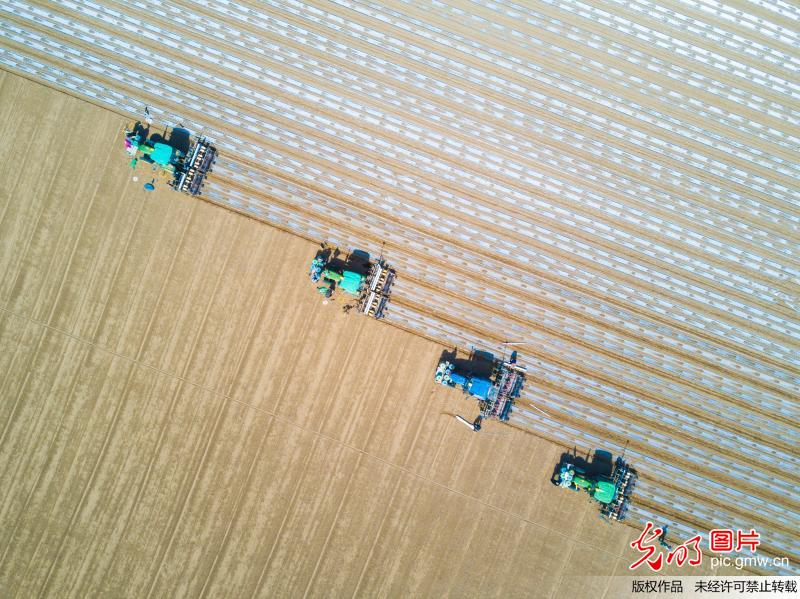 Self-driving tractors help farmers in NW China’s Xinjiang