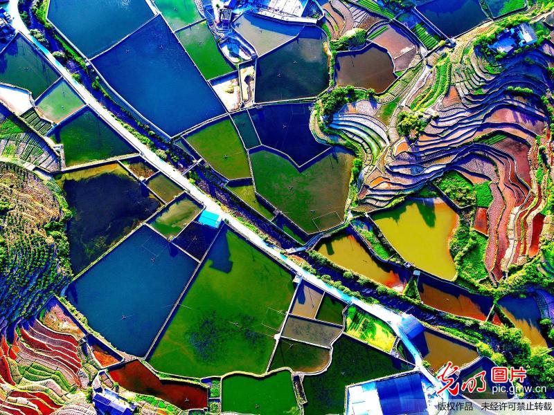 Amazing scenery of terraced fields in SW China’s Chongqing