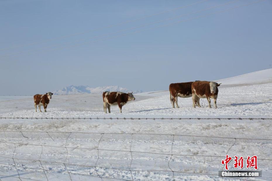 NW China’s Gansu embraces snowfall in April