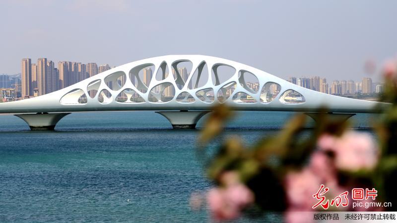 Scenery of coral-shaped bridge in E China’s Qingdao