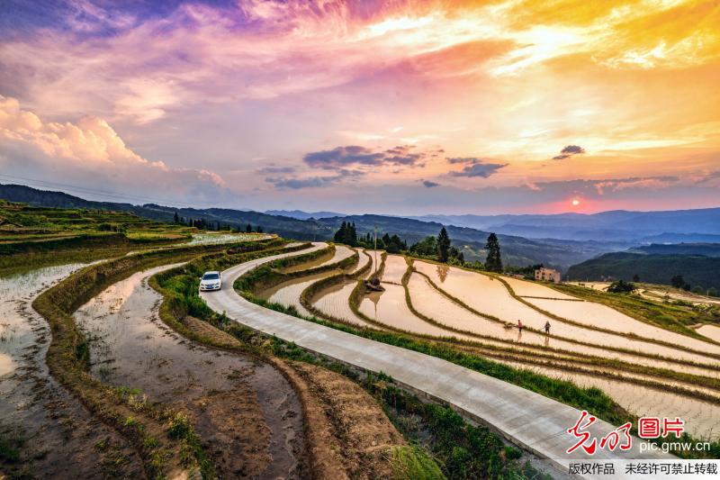 Picturesque scenery of terraced fields in SW China’s Chongqing