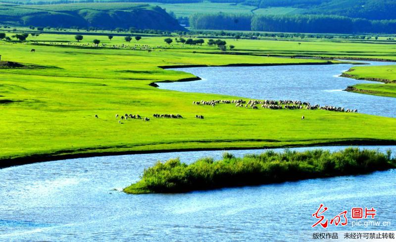 Scenery of Hulunbeier Grassland in N China