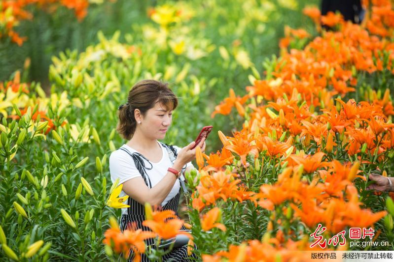 Blooming flowers attract tourists by Poyang Lake in E China’s Jiangxi