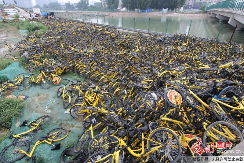 “Tomb” of broken shared bikes in C China