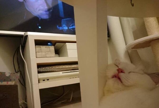 My cat always likes sleeping in some weird places...