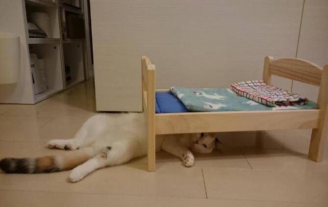 My cat always likes sleeping in some weird places...