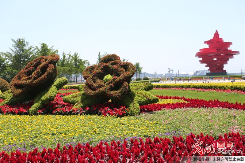 Qingdao decorated with flowers to celebrate upcoming SCO Summit