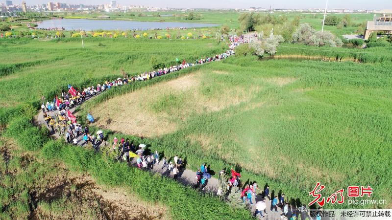 3,000 people hike through wetland to celebrate World Environment Day in NW China