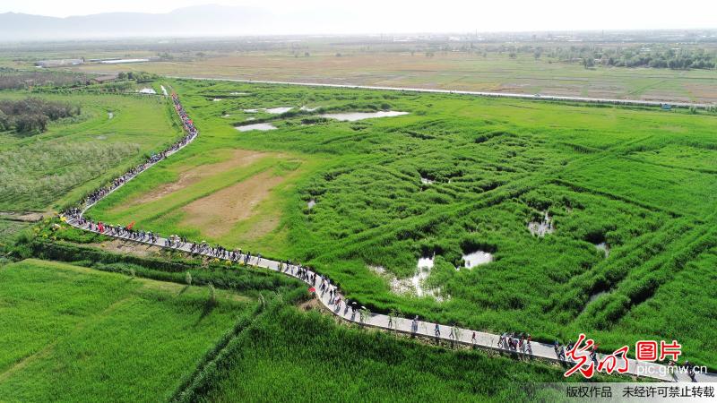 3,000 people hike through wetland to celebrate World Environment Day in NW China