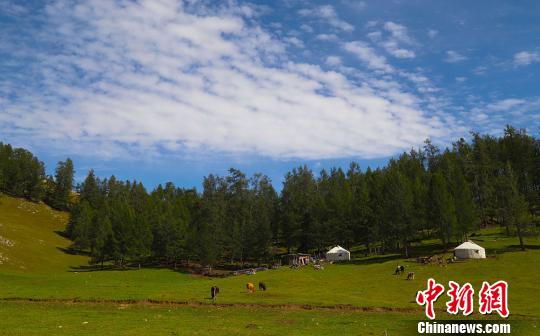 Scenery of grassland attracts tourists in NW China’s Xinjiang