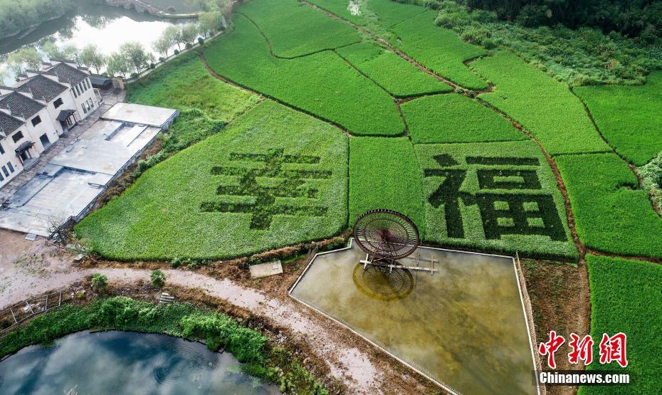 Aerial view of picturesque scenery paddy field in E China’s Jiangxi