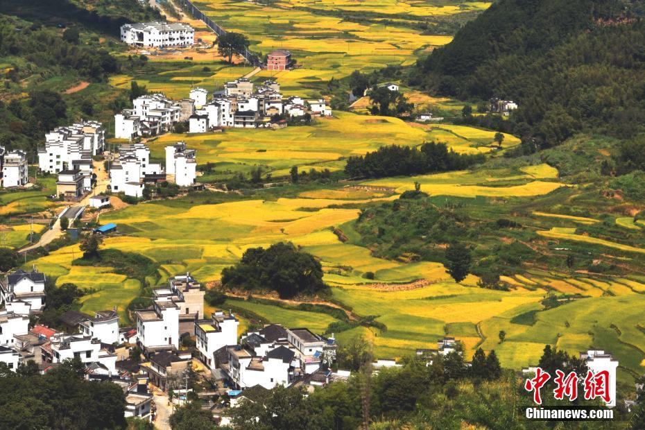 Picturesque scenery of village in E China’s Jiangxi