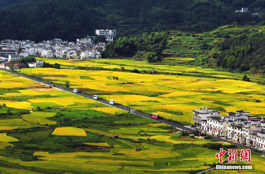 Picturesque scenery of village in E China’s Jiangxi