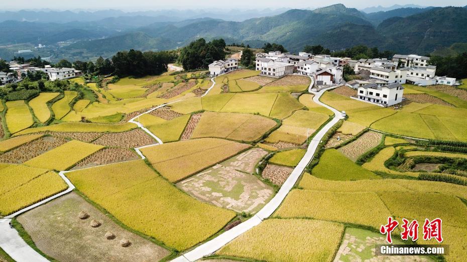 Aerial view of paddy field in SW China’s Guizhou