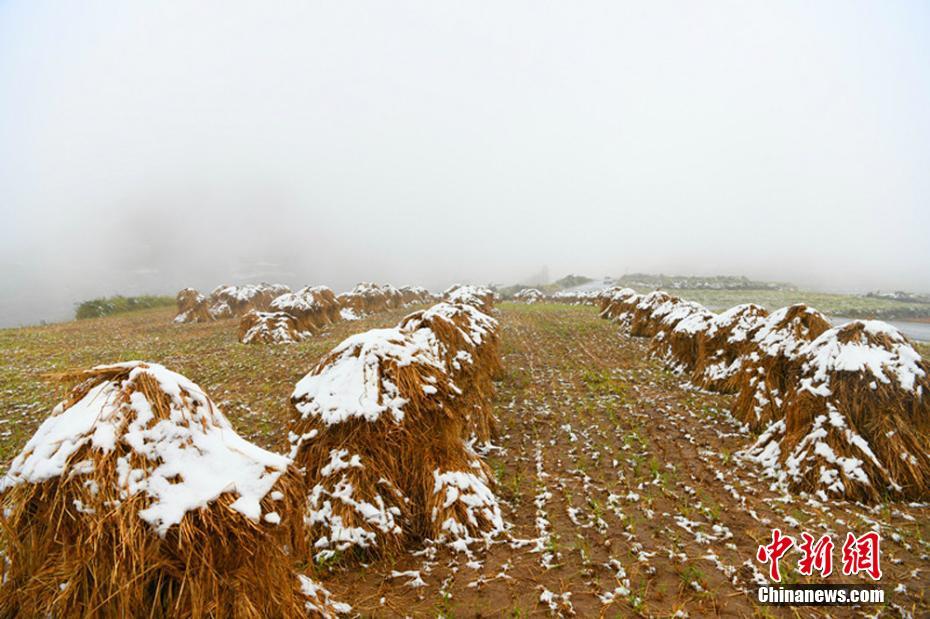 Scenery of snow-covered village after snowfall in NW China’s Gansu