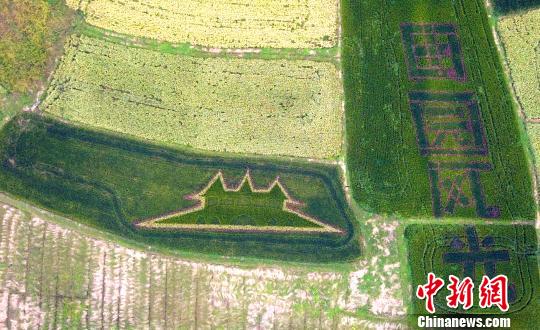 Patterns seen at paddy field in E China’s Jiangsu