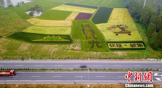 Patterns seen at paddy field in E China’s Jiangsu