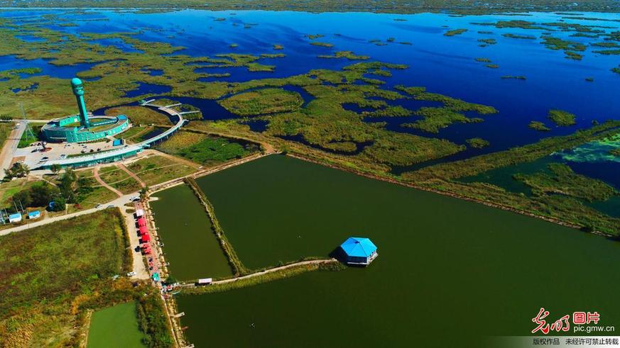 Aerial view of wetland in NE China’s Daqing