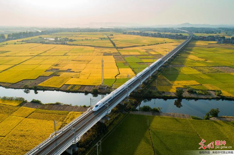 Aerial view of paddy fields in E China’s Jiangxi
