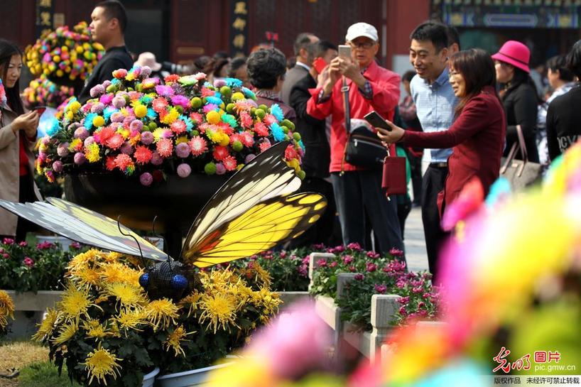 Tourists enjoy blooming chrysanthemums in C China’s Henan Province