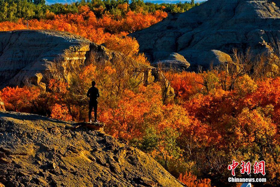 Amazing autumn scenery attracts tourists in NW China’s Xinjiang