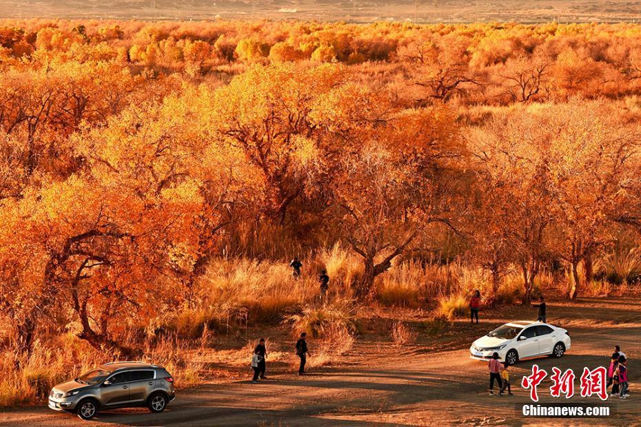 Amazing autumn scenery attracts tourists in NW China’s Xinjiang
