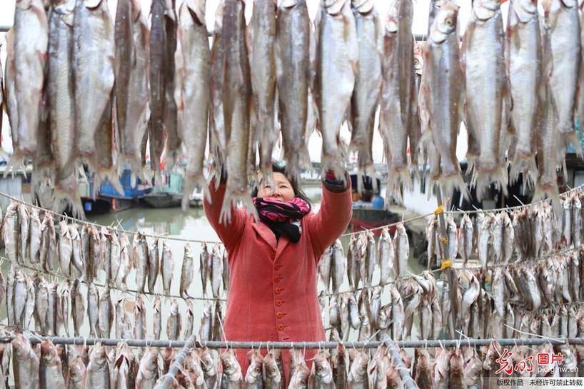 Fishermen busy drying fish in E China’s Jiangsu Province