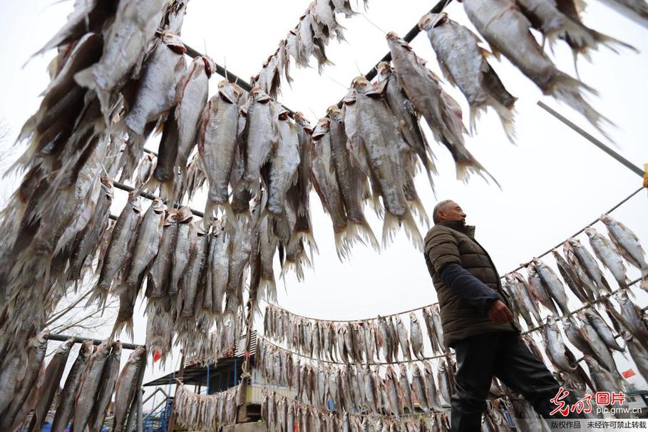 Fishermen busy drying fish in E China’s Jiangsu Province