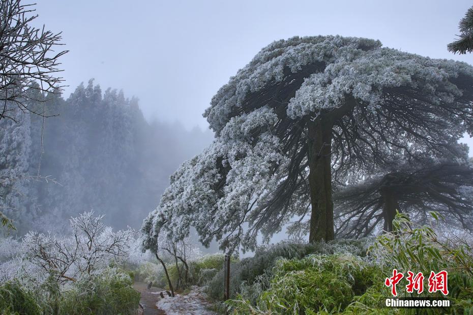 Stunning scenery of snow-covered Sanqing Mountain in E China’s Jiangxi
