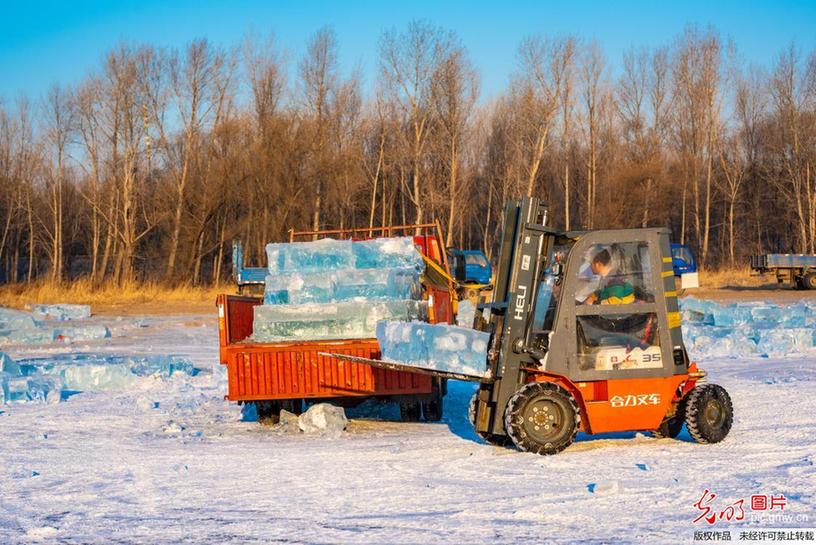 Workers busy collecting ice to prepare for ice and snow festival