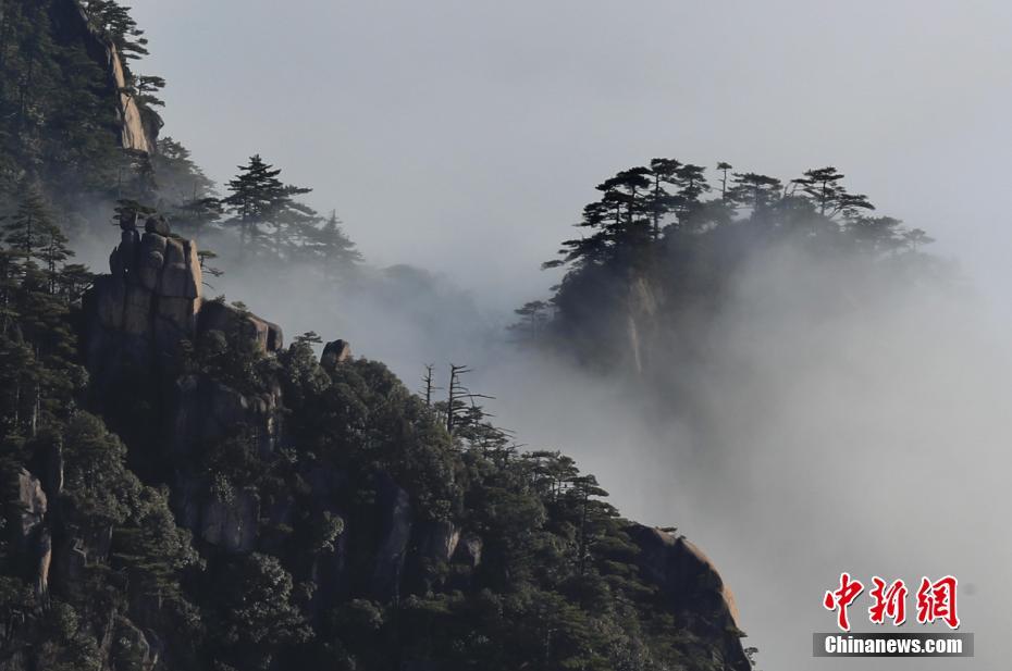 Picturesque scenery of sea of clouds after rain at Huangshan Mountain