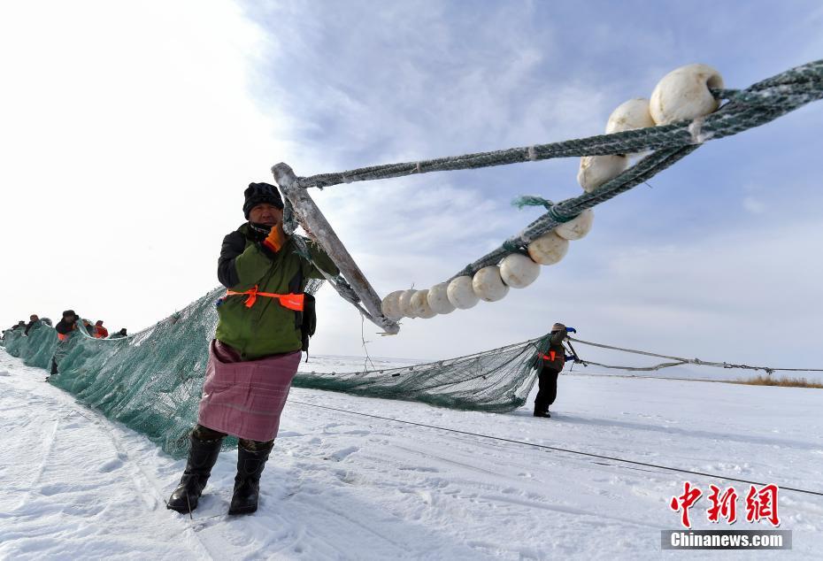 Fishermen busy harvesting fish in NW China’s Xinjiang
