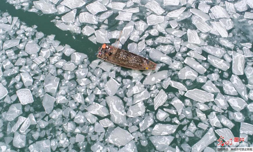 Sea ice seen in E China’s Shandong Province