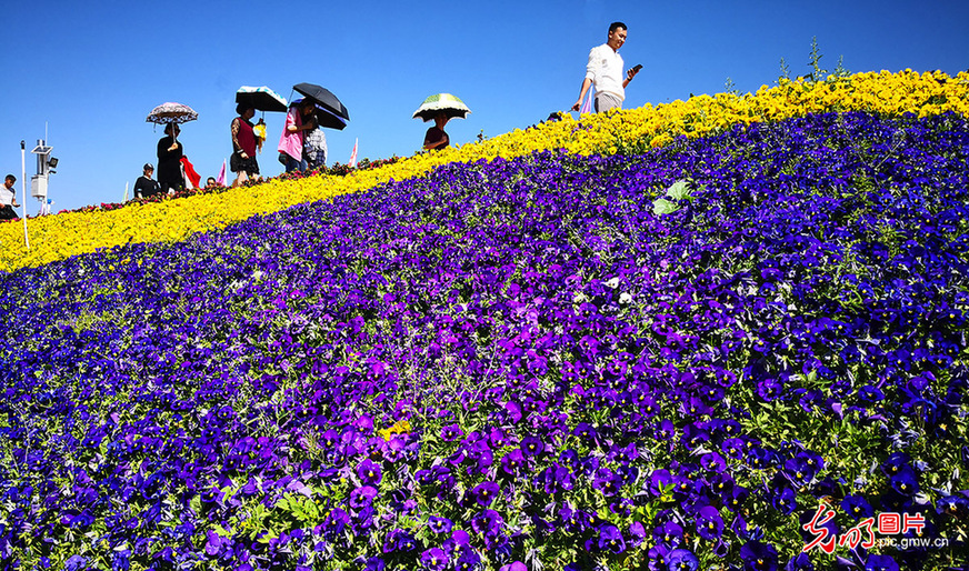 Tourists view flowers in SW China’s Sichuan Province