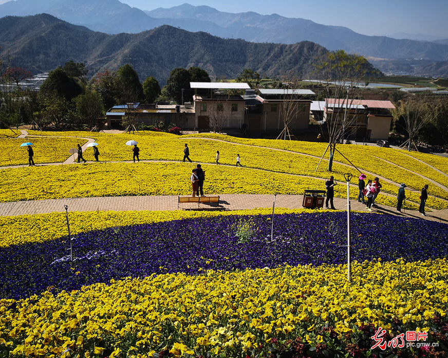 Tourists view flowers in SW China’s Sichuan Province