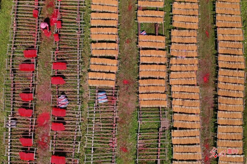 Villagers air bamboo strands in E China’s Jiangxi Province