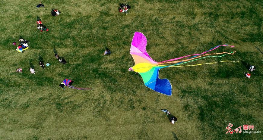 Children fly kites to have fun in E China’s Anhui Province