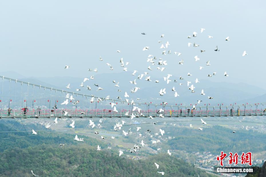 Birds flying over glass-bottomed bridge seen in E China’s Anhui