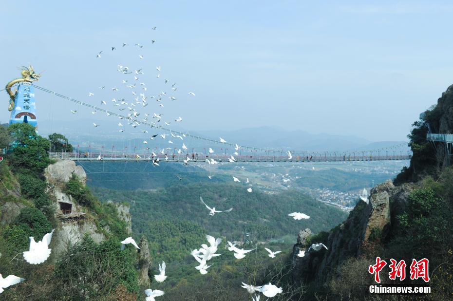 Birds flying over glass-bottomed bridge seen in E China’s Anhui