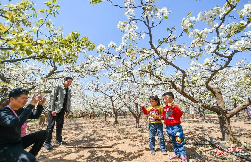 Tourists view peach flowers in C China’s Henan