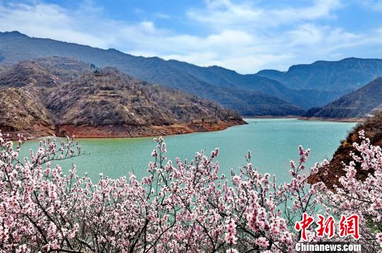 Scenery of peach flowers in NW China’s Gansu