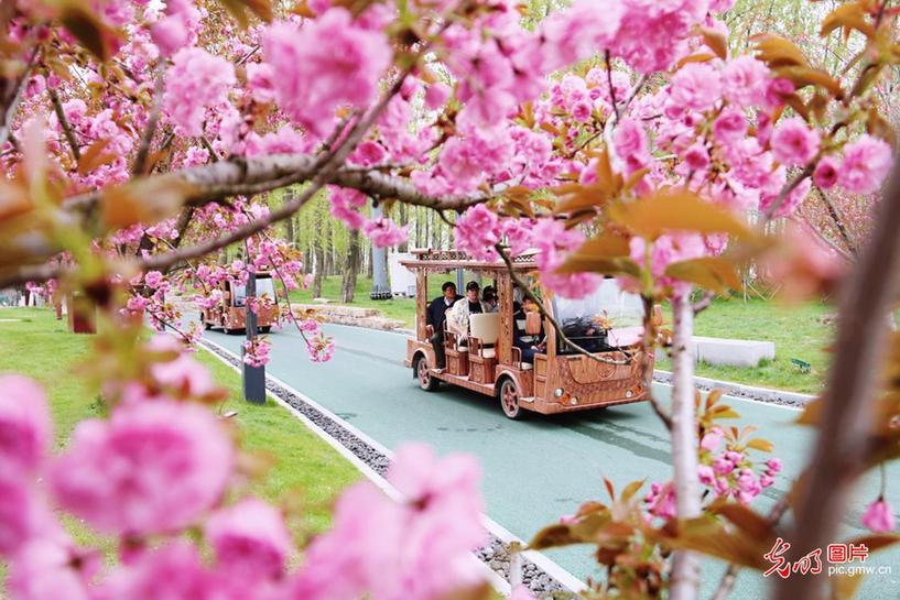 Tourists view spring scenery in E China’s Jiangsu
