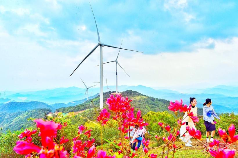 Scenery of wind power plant in E China’s Jiangxi